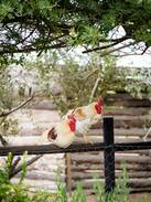Citrusdal Villa | Citrus Creek, your entrance to the Cederberg.