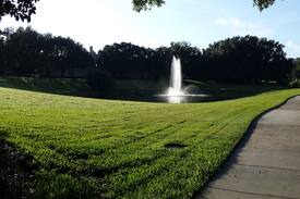 Metro West Apartment | Tradewinds Condo....Metrowest Area....