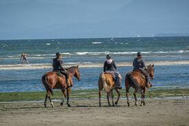 Comox House | Windslow Guest Suite at Kye Bay Beach in Comox