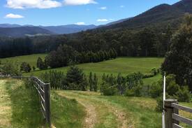 Judbury Cabin | Trenance Cottage- secluded luxury on Huon River.