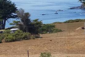 Elk Cabin | Quaint Ocean Cottage