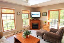 Chestnut Springs Cabin | Treetop Wintergreen get away