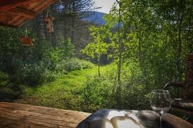 Livingston Cabin | Granny's Off-the-Grid. A sweet retreat