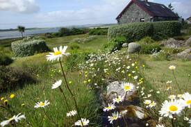 Clifden Cabin | Seaside Cottage Retreat in Errislannan, Clifden
