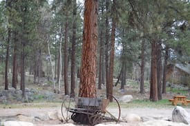 Hamilton House | Hamilton Hideaway / quiet spot in the pines /