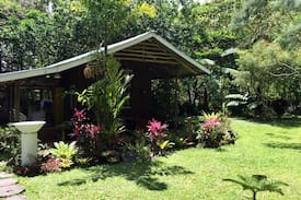 Infanta Other | Gina's Garden and Farm.
