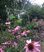 Ohiopyle House | Rafferty Manor Artist Retreat in Ohiopyle