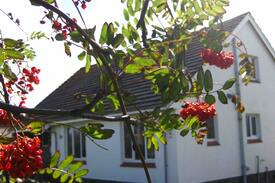 Carradale House | Rowanlea Cottage, Carradale