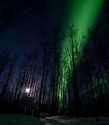 Fairbanks Cabin | Wild Moon Cabins BNB