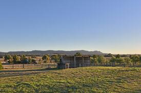 Lovedale Cabin | Clydesdale Cottage on Talga with real Clydesdale Horses