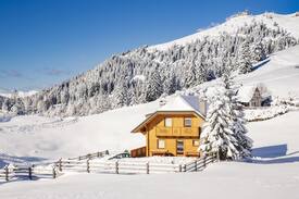 Ambroz pod Krvavcem Apartment | Fabulous Alpine cabin Krvavec #12