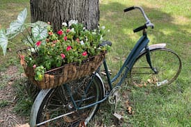 Andalusia Bed & Breakfast | The Cottle House Bed and Breakfast - Red Room