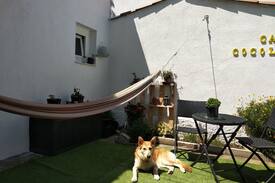Sant Narcis Bed & Breakfast | Tarla-Habitación compartida femenina
