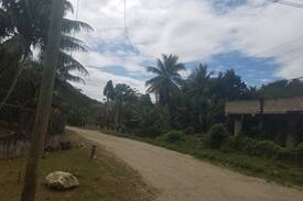Montego Bay Cabin | Garden of Eden Jamaica room 2 (Near Montego Bay)