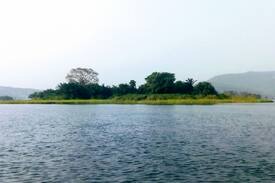 North Tongu Other | Atakwame River Island Jungle Club