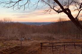 Peaks Cabin | Graham Ordinary: 1700's Lodge, Stunning Views