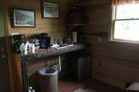 Greensboro Other | Got Cabin Fever? - The Cheerful Chicken