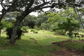 Mashonaland East Cabin | Donerine Cottage, Vumba Mountains, Manicaland.