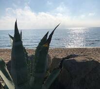 Marina di Lizzano Villa | Lido Palmintiello,Marina di Lizzano TA