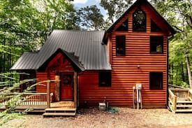 Mineral Bluff Cabin | BEARadise City