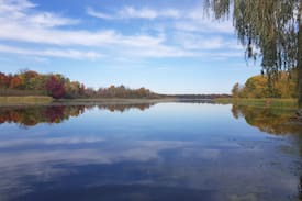 Kemptville Cabin | Rideau Creek Cottage 200+ feet of waterfront.