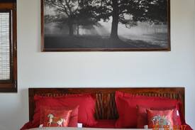 Majkhali Villa | Belle Vue Chalet - Entire Cottage for 6 - Ranikhet