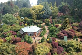 Lower Wilmot Cabin | Don Dossers Magnificent Garden Stay