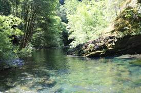 Crescent City Cabin | The Emerald Outpost - off-grid gateway to SRNF