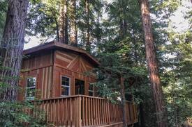Aptos Cabin | Cabin at Juju Paradise:Santa Cruz Redwoods Retreat