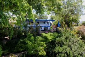 Temecula Other | “Airstream In The Vines” Dog Friendly!