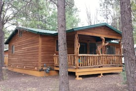 Pinetop-Lakeside Cabin | STARBRIGHT PINES near Rainbow Lake**Pets Welcome**