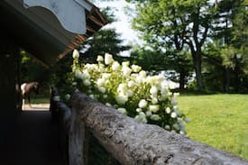 Boone House | The Red Fox