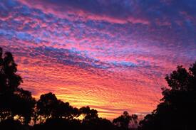 Onkaparinga Hills Other | Alma Park is quiet, private and close to amenities