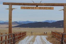 Silver Cliff Apartment | Sunset Ranch Bunkhouse at Sangre De Cristo