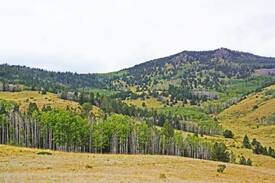 Saguache County Cabin | Bull Elk Lodge