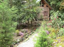 San Gerardo de Dota Cabin | The Unicorn Lodge