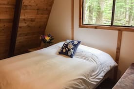 Seymour Arm Cabin | Sunny Waters Lakeview Cabin #3 Shuswap