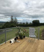 Dungarvan House | Glenmore Villa (Botanical room)