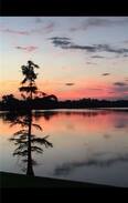 Saint Maurice House | Southern Charm- Boat, fish and relax- Hampton Lake