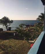 Orange Bay Apartment | Point Village Negril Jamaica:Apt:101