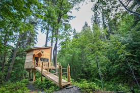 Peshastin Cabin | * Hansel Creek Gust Tree House * On 150 Acres