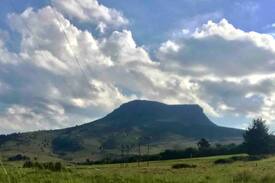 Hogsback Other | Misty-Oaks Self - Catering Cottage