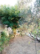 Batroun House | MA PETITE MAISON - SMAR JBEIL