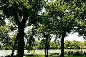 San Angelo House | 5 Star Ranch Casita on Spring Creek