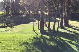 Federal Cabin | Songbird. Federal Byron Hinterland