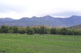 Boesmanspad Other | Pecan Nut Farm Stay