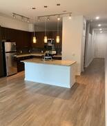 Zilker Apartment | Austin's best - music, food, art at Zilker park -