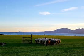 Rothesay Other | Beautiful Seaside Cottage at Scalpsie Farm