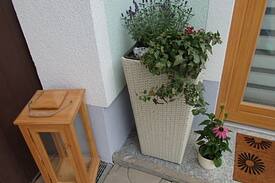 Rappottenstein Apartment | Wohlfühlwohnung