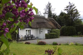 Kilkenny Cabin | Charming And Cosy 300 yr Old Thatched Cottage.